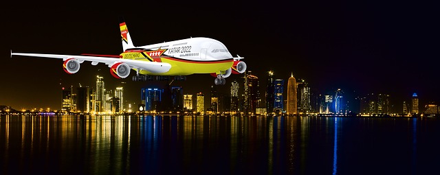 wk 2022 qatar